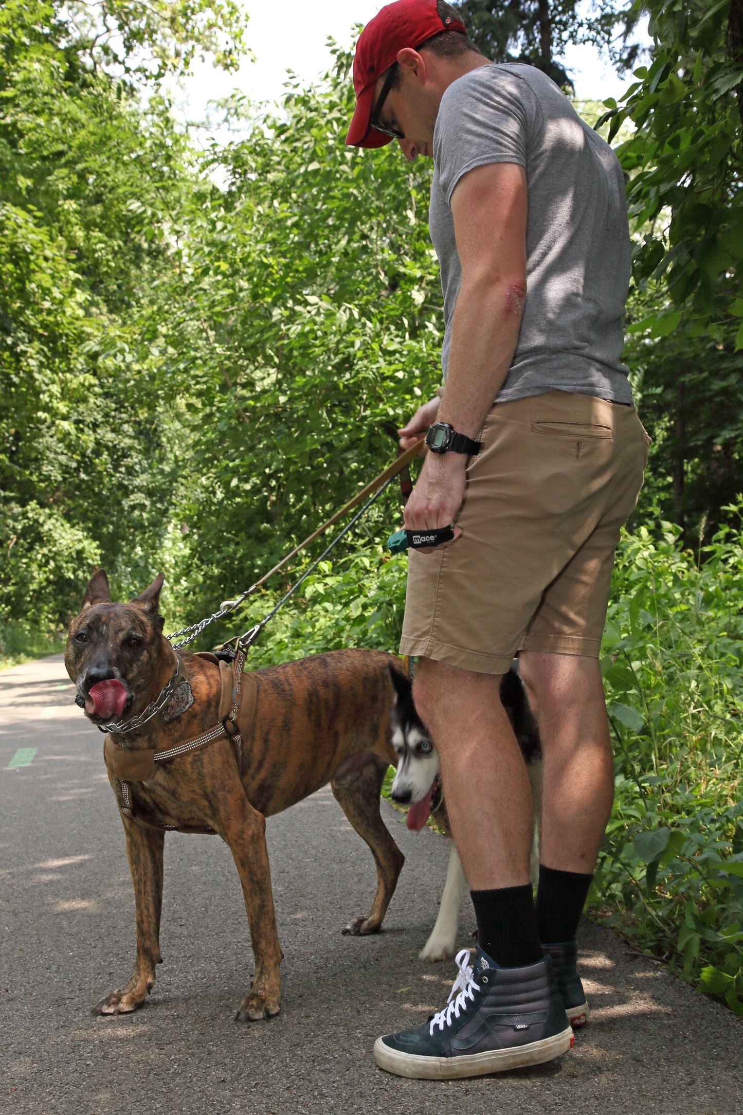 Muzzle Dog Repellent Pepper Spray