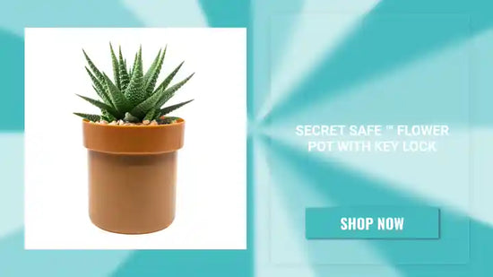 Secret Safe &trade; Flower Pot With Key Lock by@Outfy
