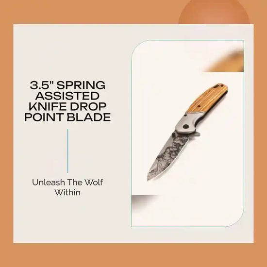 3.5" Spring Assisted Knife Drop Point Blade by@Outfy